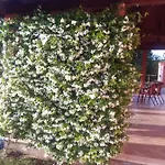 فندق مبيت وإفطار Jelena