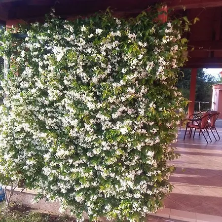 Nocleg ze śniadaniem Jelena