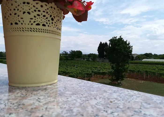 Alojamento de Acomodação e Pequeno-almoço Jelena Međugorje